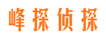 攸县市婚外情调查